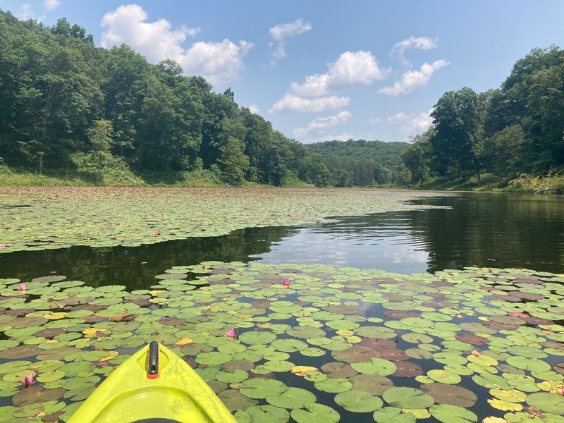 Wildlife Watching In One Of Ohio's Quietest Corners