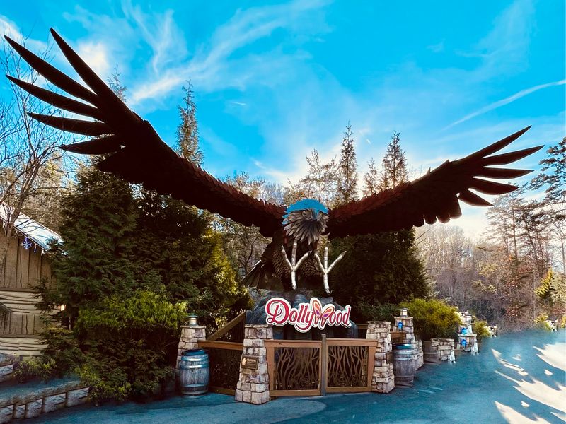 Meeting The Residents Of Eagle Mountain Sanctuary