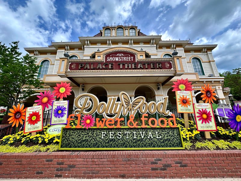 Practical Tips For A Smooth Dollywood Day