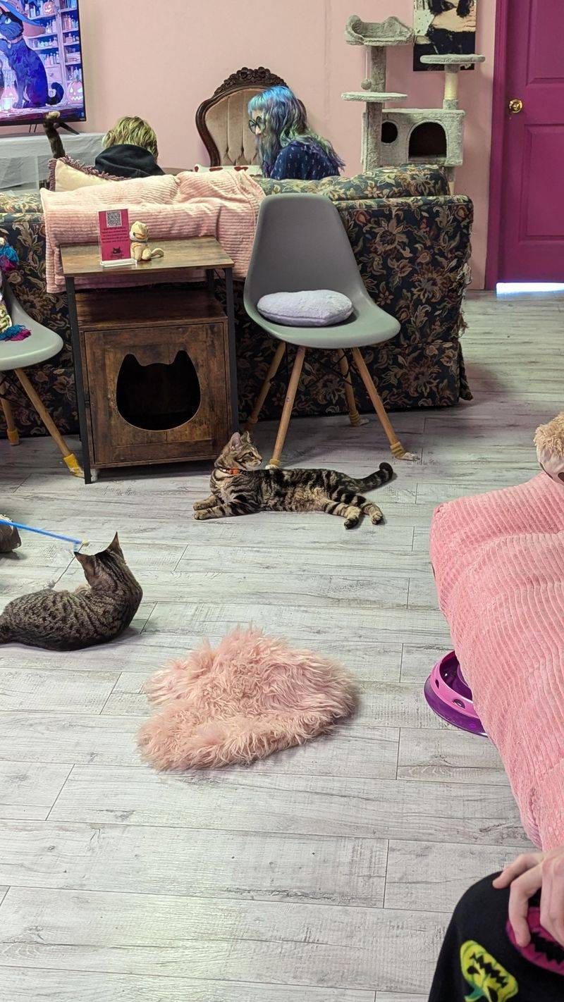 Reservations, Walk Ins, And Timing