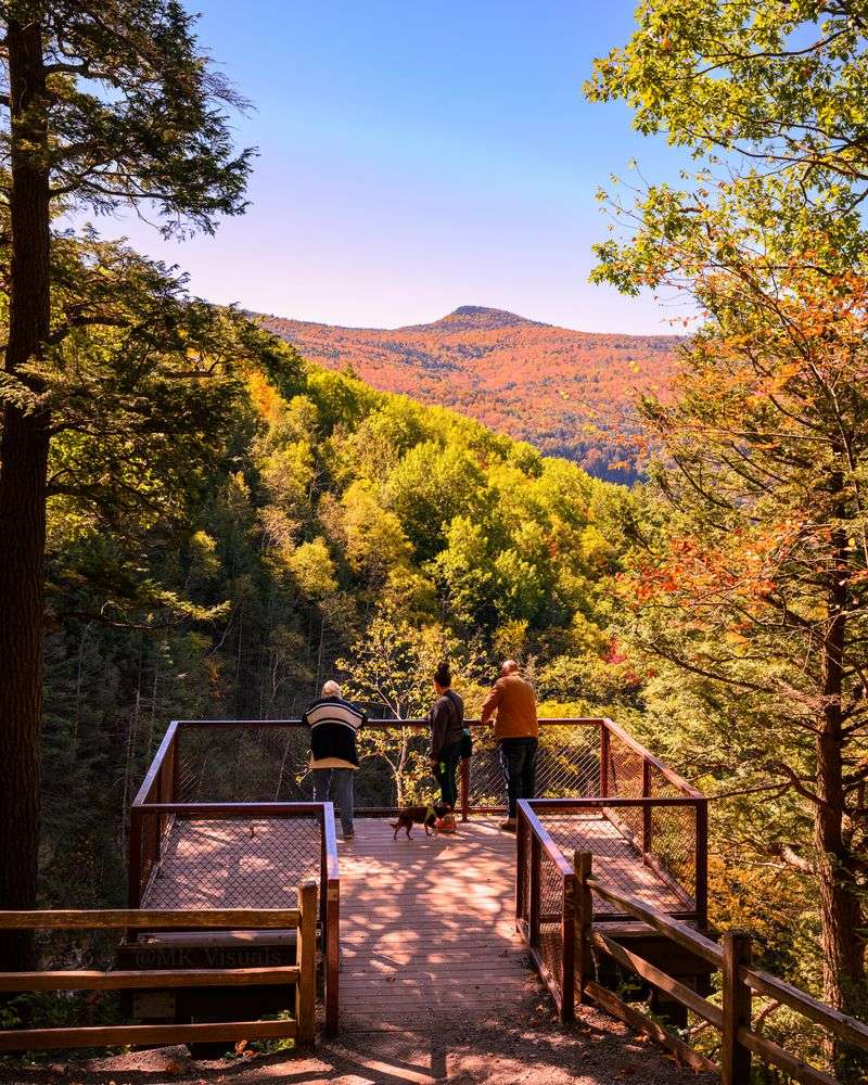 Staying Safe While Getting The Shot