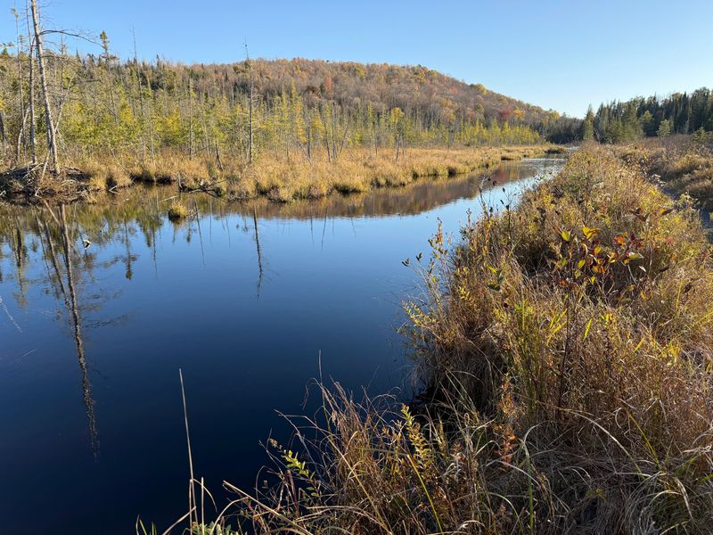 Boardwalks, Beavers, And The Art Of Staying Dry