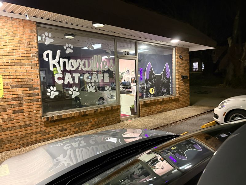 Menu Basics And Ordering Etiquette