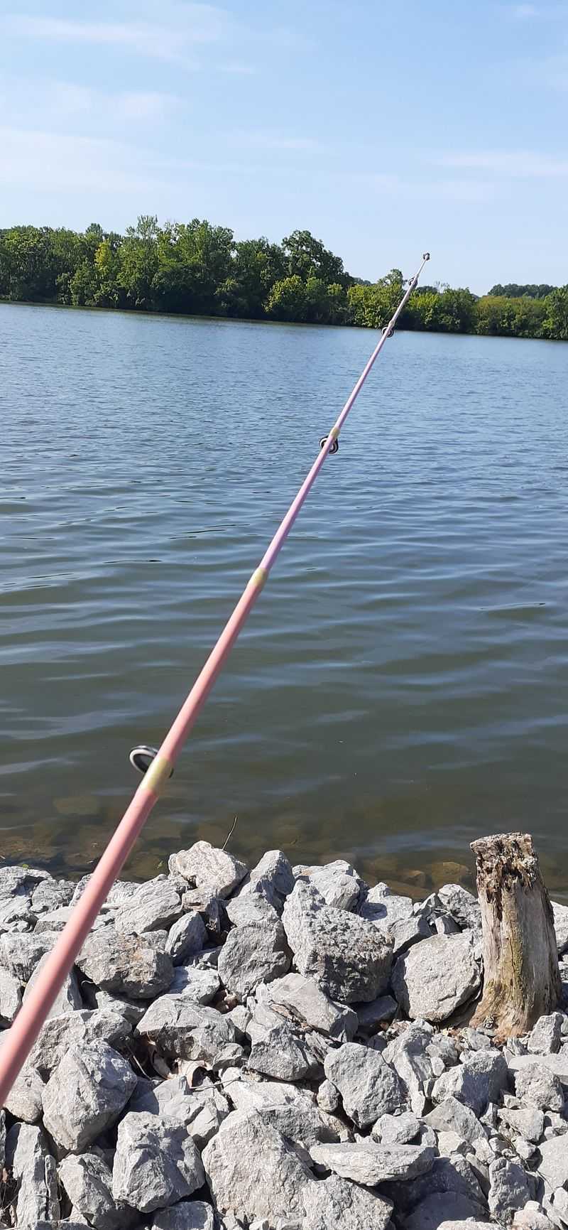 Camping Reservations Worth Planning Ahead For