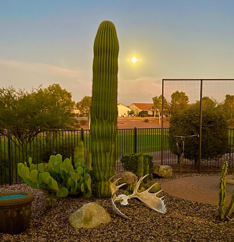 Living In Florence: An Ideal Spot For Retirees Seeking Comfort And Tranquillity