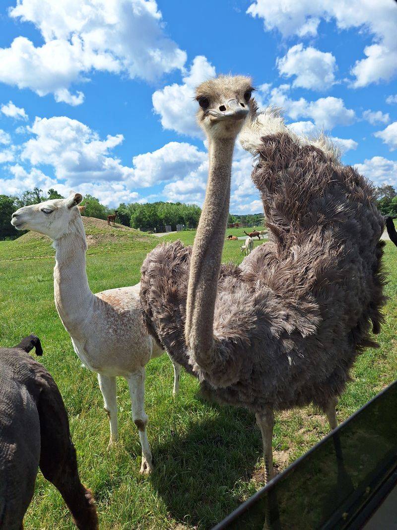 Respectful Photography And Quiet Moments That Matter