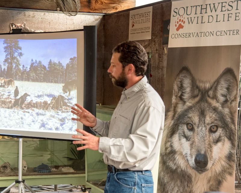 Small Guided Tours Offer Close Wildlife Experiences