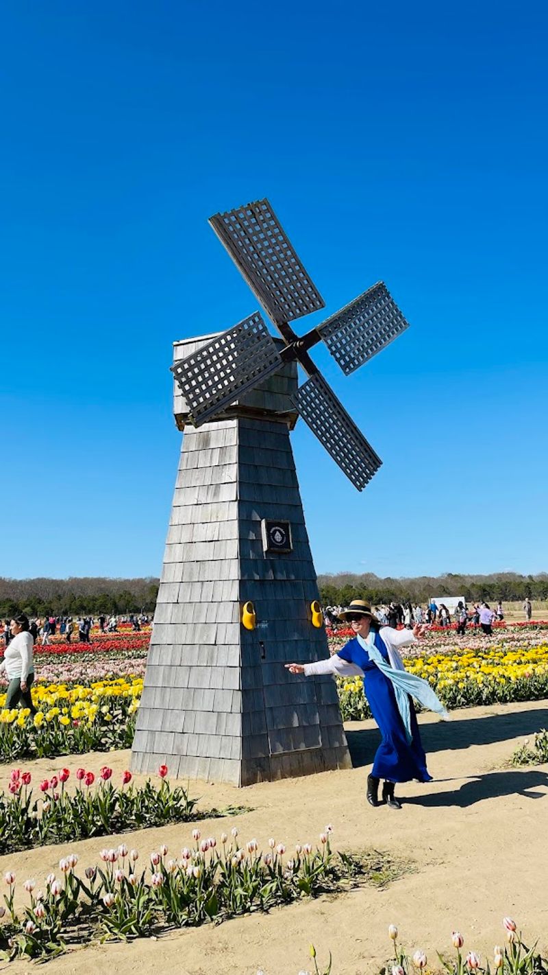 Photography Paradise With Props For Days