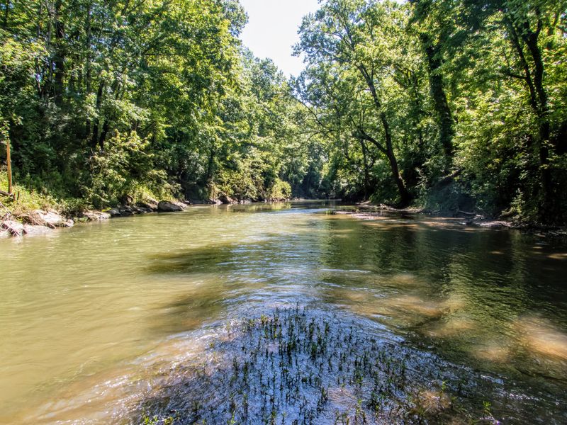 A Walk In The Parklands