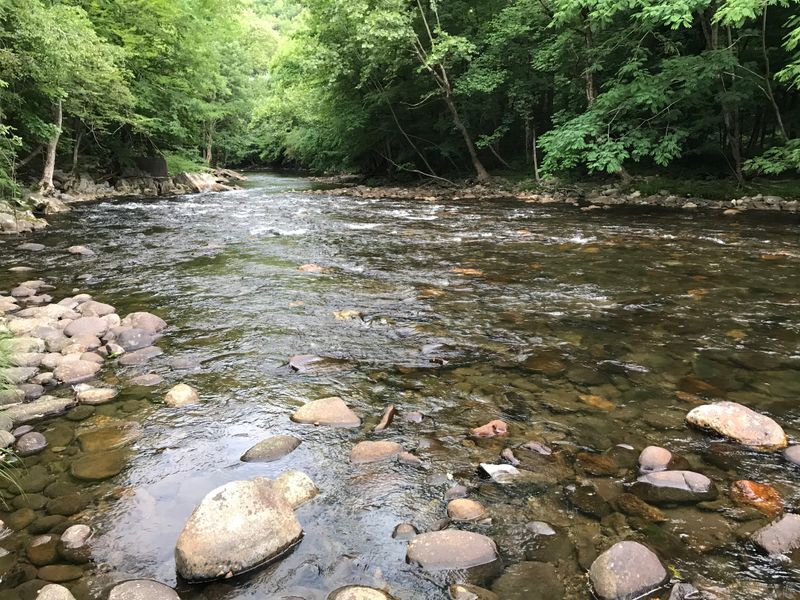 Little River Mornings That Reset The Day