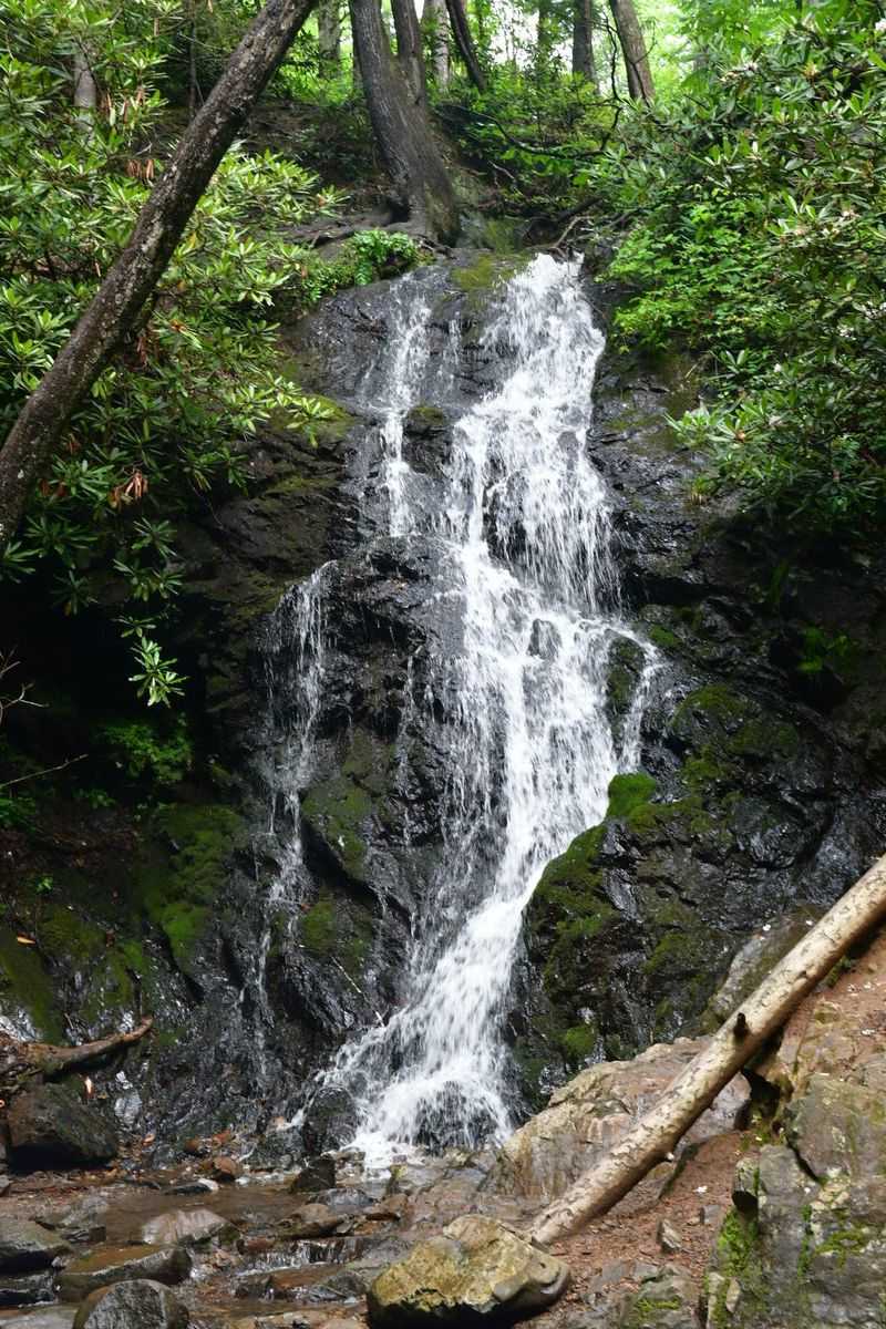 Cataract Falls Short Stroll