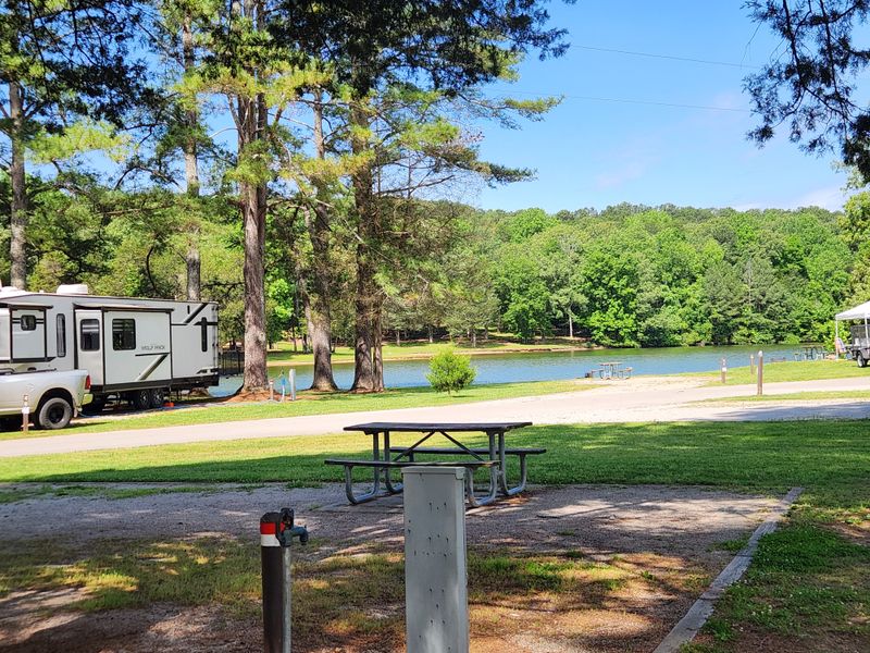 A Visitor Center With A Gentle Welcome