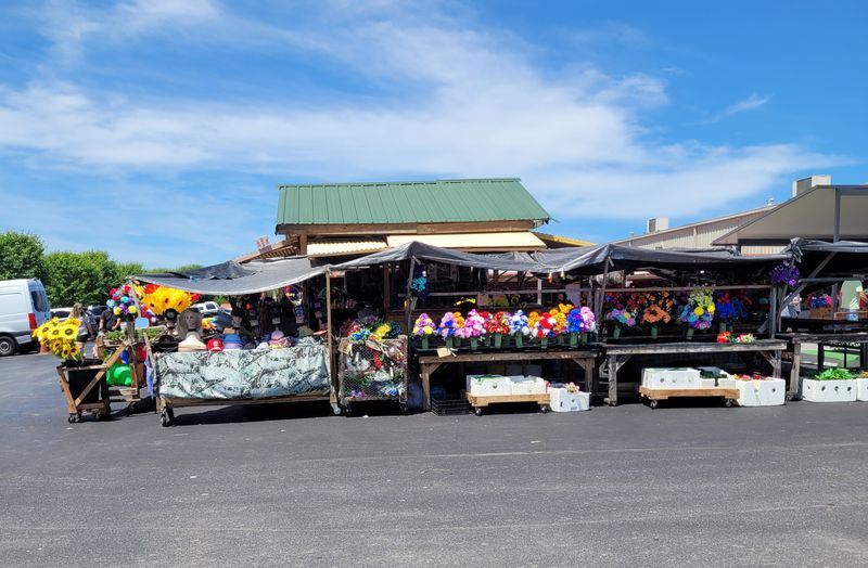 Flea Traders Paradise – 1907 Winfield Dunn Pkwy, Sevierville, TN 37876