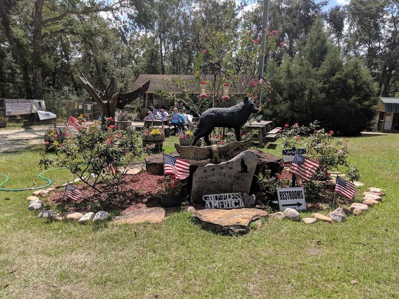 Wolves Raised In Human Care