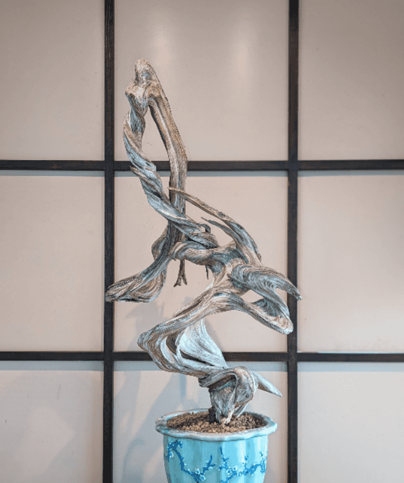 A Gift Shop That Actually Deserves Your Attention