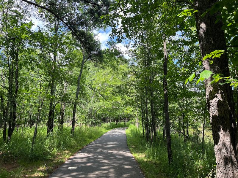 Couchville Lake Trail – Long Hunter State Park, Hermitage