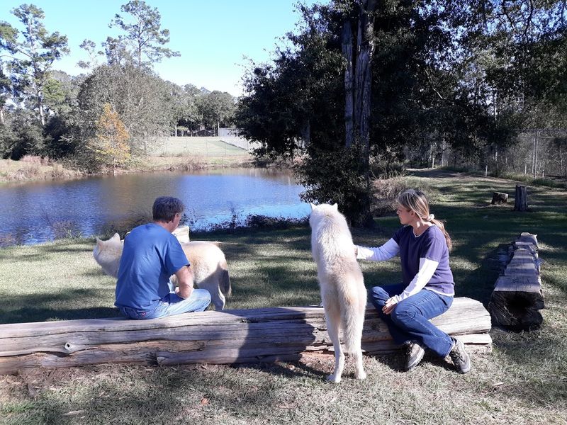 A Conservation And Education-Focused Mission