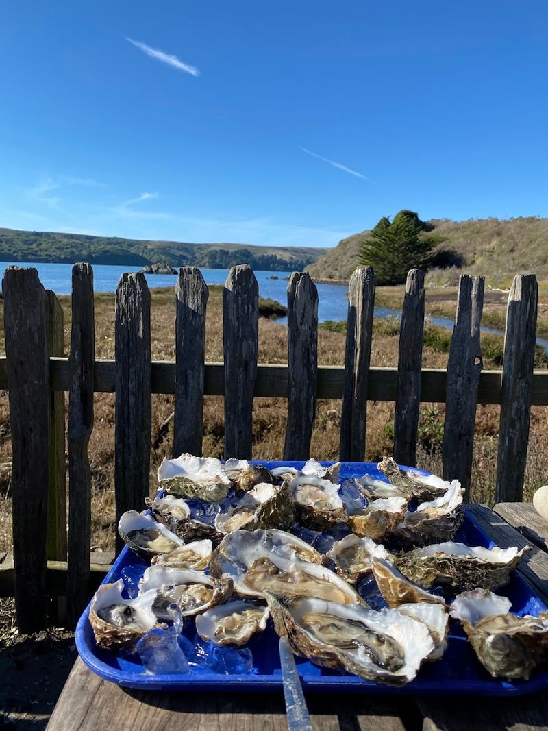 Hog Island Oyster Co.