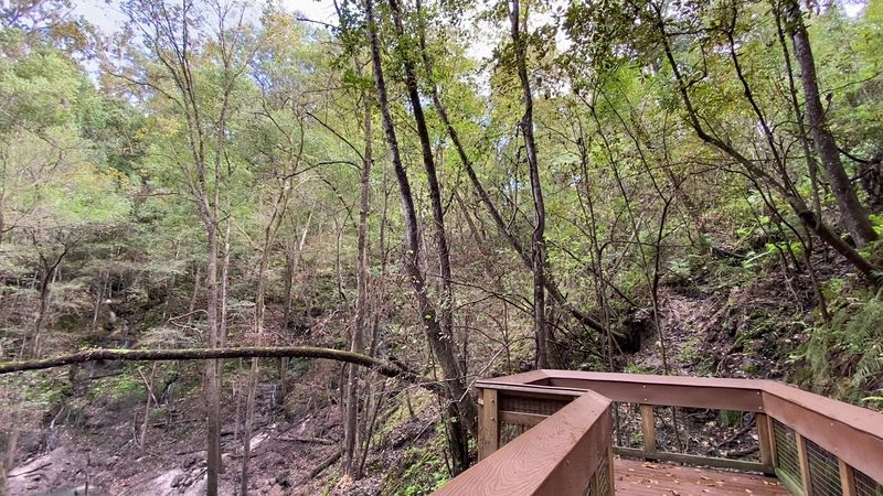 A Boardwalk That Takes You Safely To The Bottom