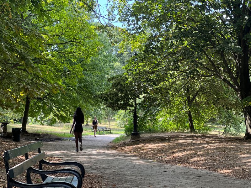 Prospect Park Long Meadow (Brooklyn)