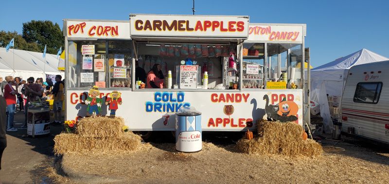 Free Admission Makes Treasure Hunting Affordable