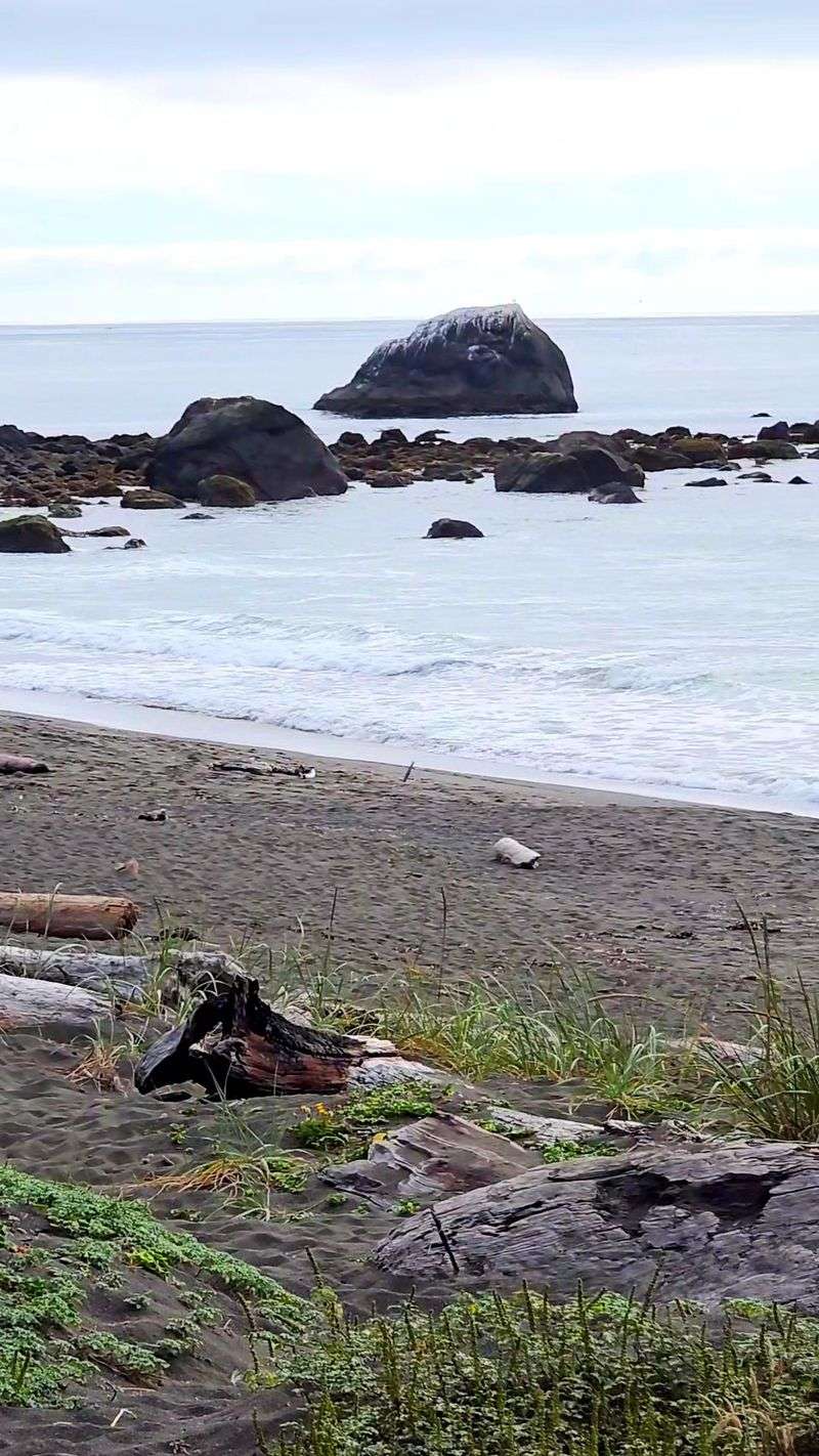 Frequent Coastal Fog Creates A Moody Atmosphere