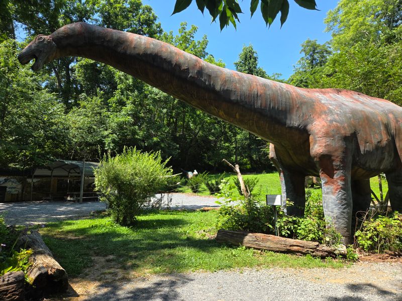 Backyard Terrors Dinosaur Park, Bluff City
