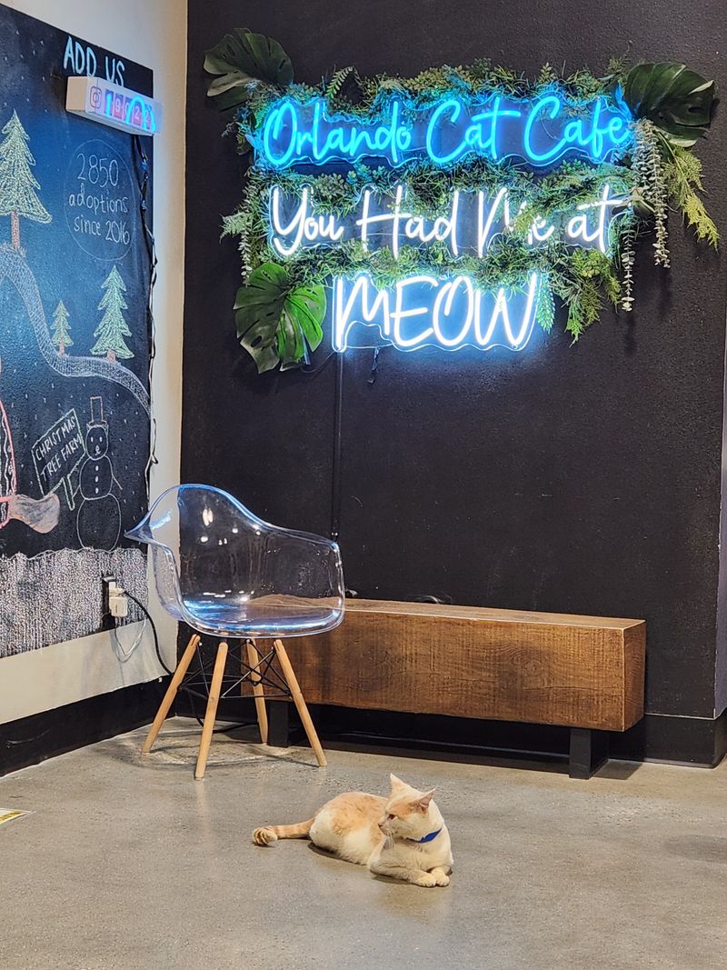 Special Events Add To The Experience