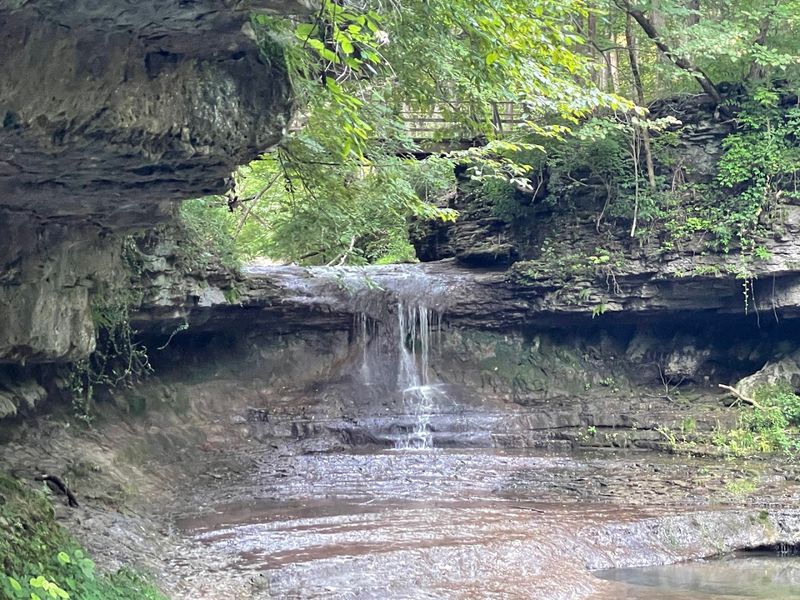 Clifton Gorge Is One Of Ohio's Most Underrated Natural Wonders