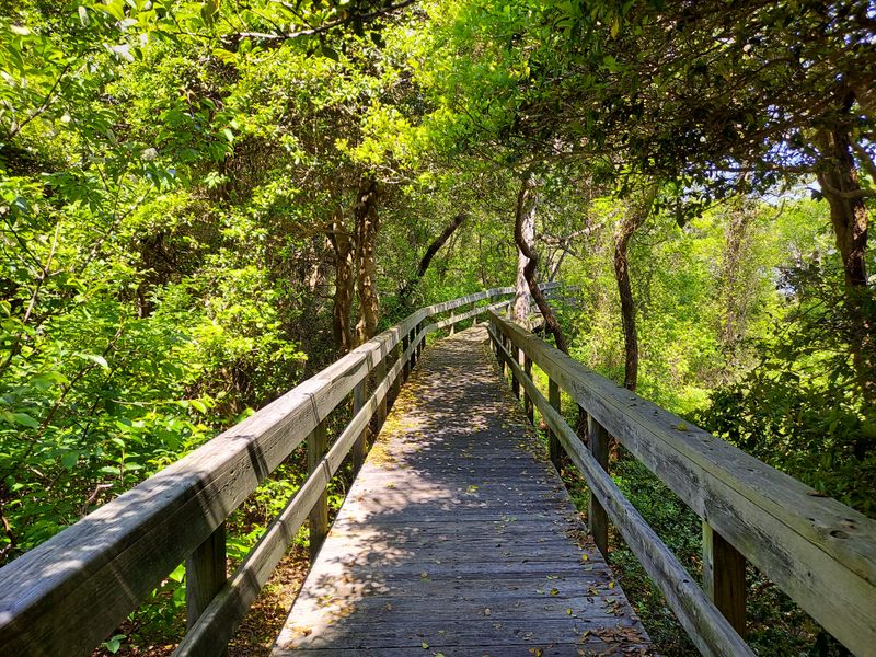Fire Island National Seashore