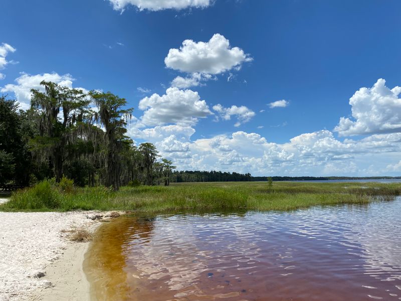 Lake Louisa State Park