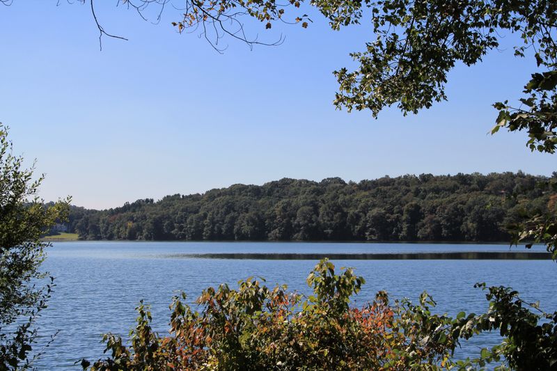 A Modest Chef’s Table In The Hamlet