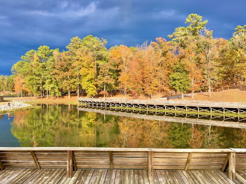 Seasonal Colour Changes Keep The Scenery Fresh Year-Round