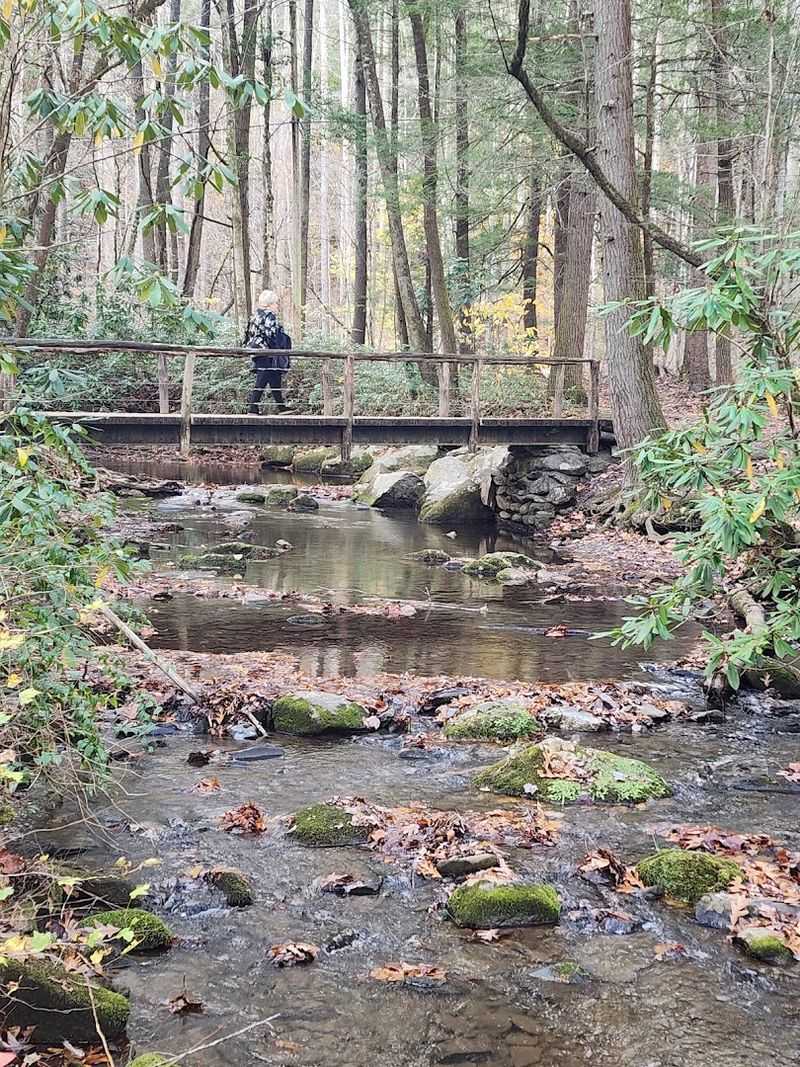 Gatlinburg Trail – Sugarlands Visitor Center, GSMNP