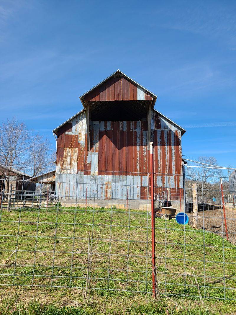 An Afternoon Loop Past Barns And Creeks