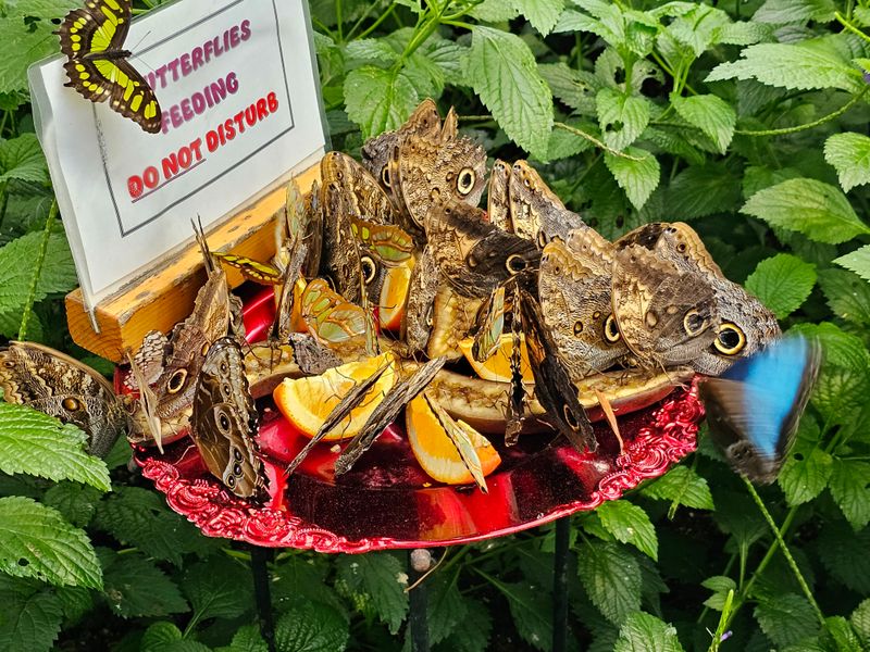 Practical Notes For A Smooth Visit