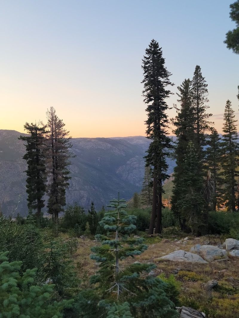 The Surrounding Stanislaus National Forest Adds To The Seclusion