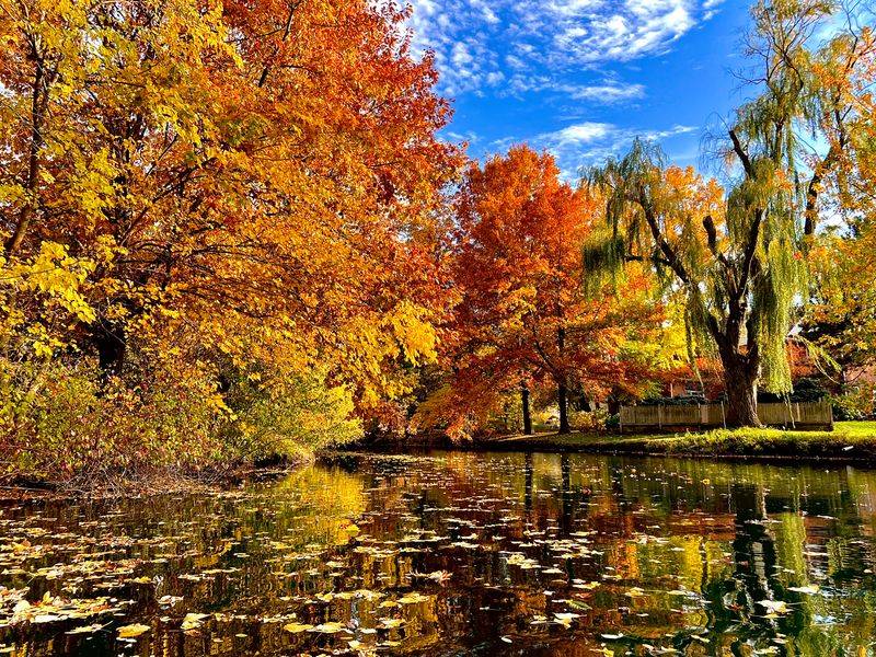 Why Long Grove Feels Especially Cinematic In Fall And Winter