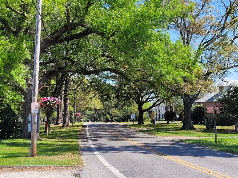 Tree-Lined Streets Create A Relaxed Residential Feel