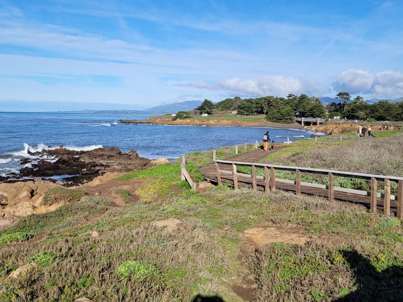 Wildlife Sightings Are Common Along The Shoreline