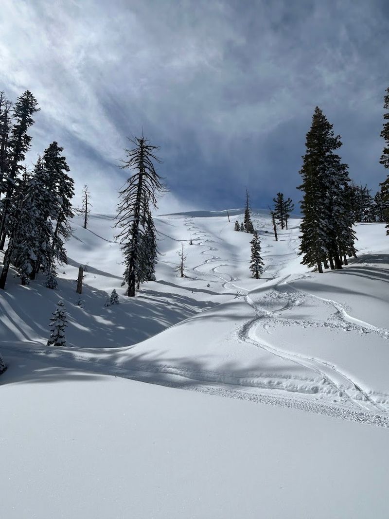 It's Big Enough To Explore But Small Enough To Learn Quickly