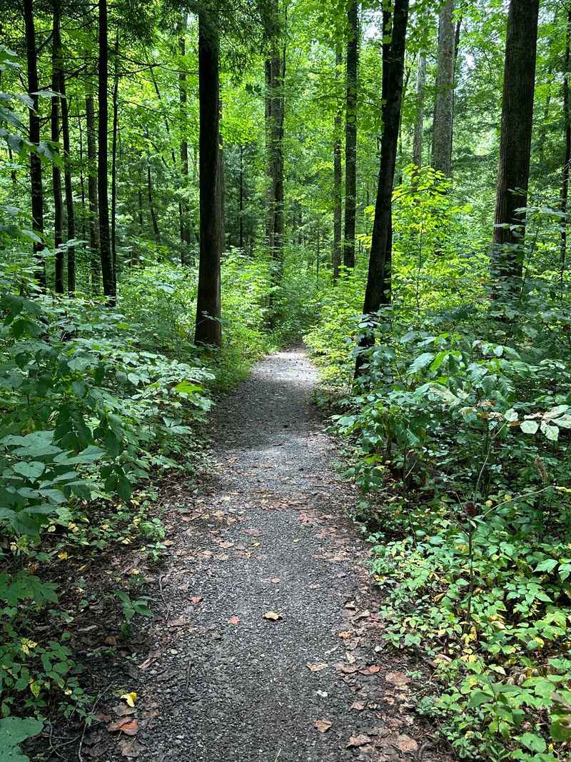 Gatlinburg Trail From Sugarlands