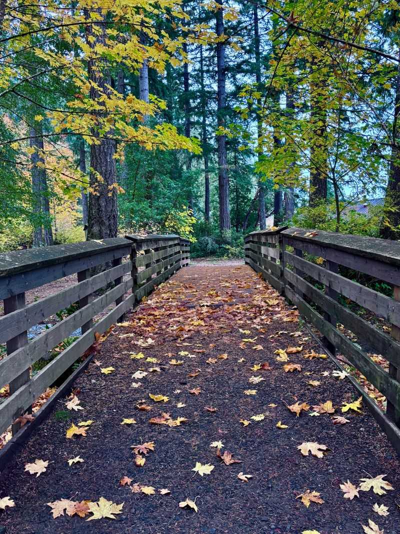 Civilian Conservation Corps Helped Shape The Park
