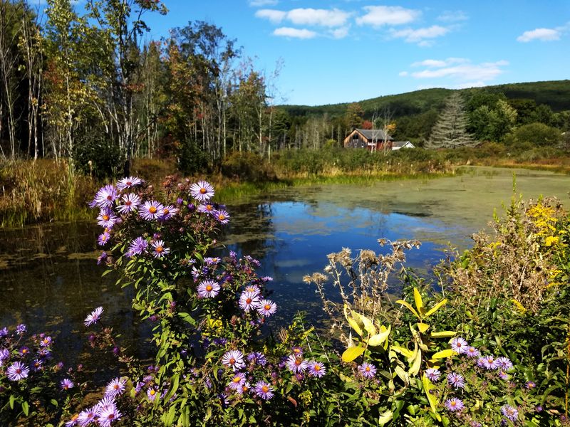 Robert V. Riddell State Park