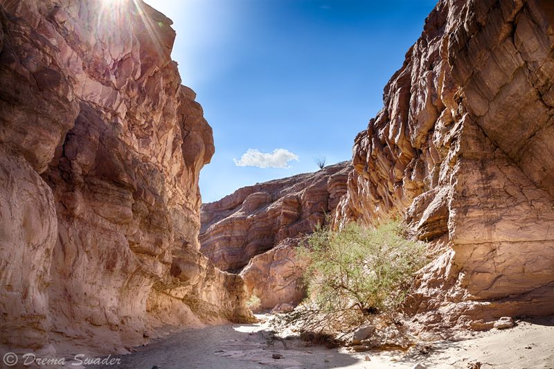 Ancient Fossils Reveal A Prehistoric Past Beneath The Sand