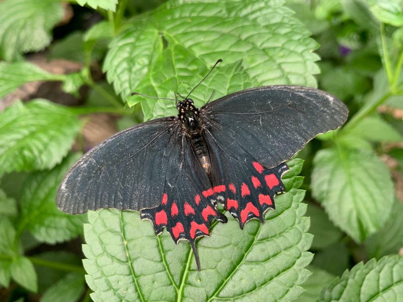 Light, Shadow, And Small Surprises