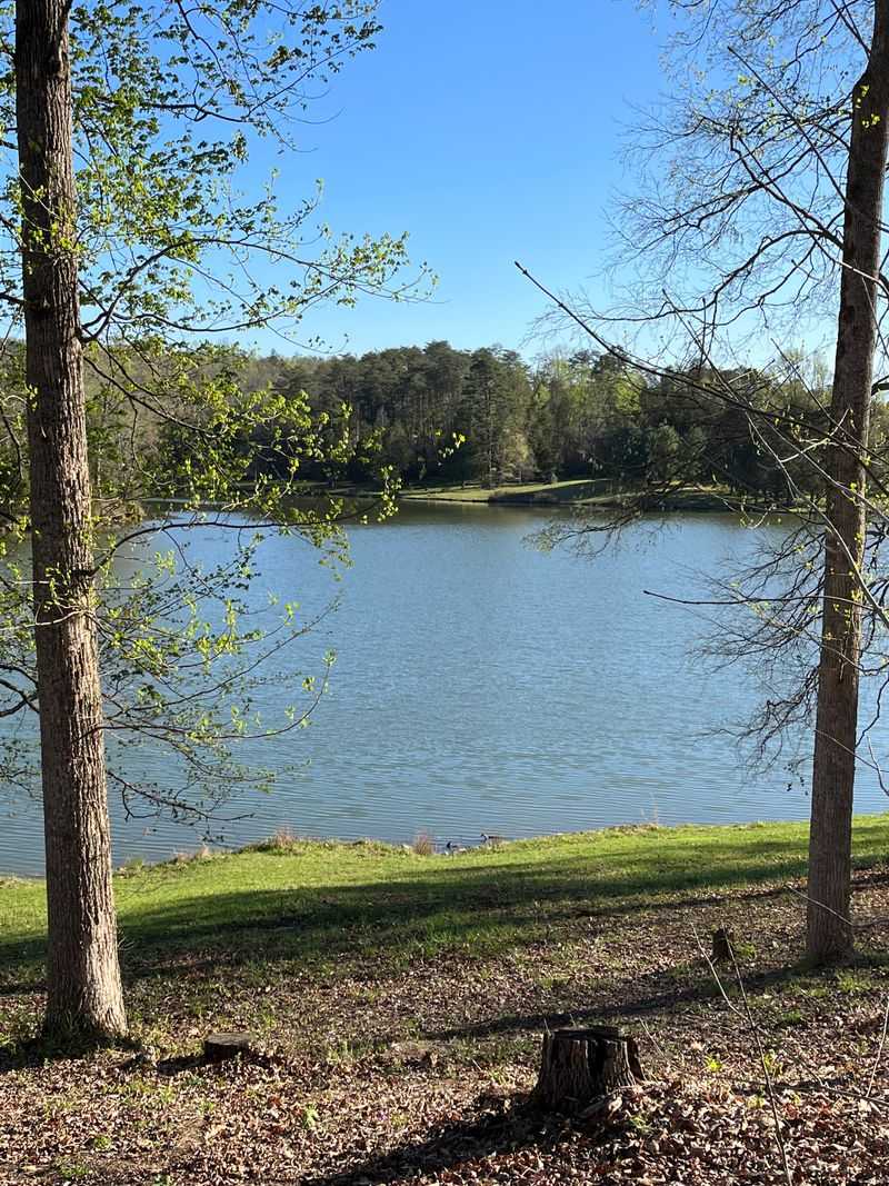Big Ridge State Park Beach, Big Ridge Lake