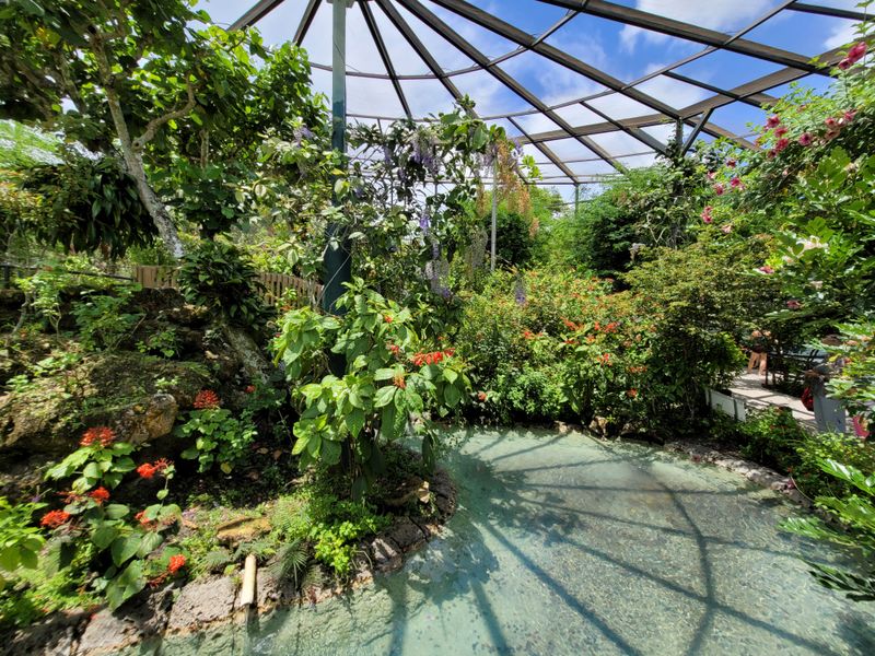 The Tropical Gardens Feel Like A Lush Rainforest Escape