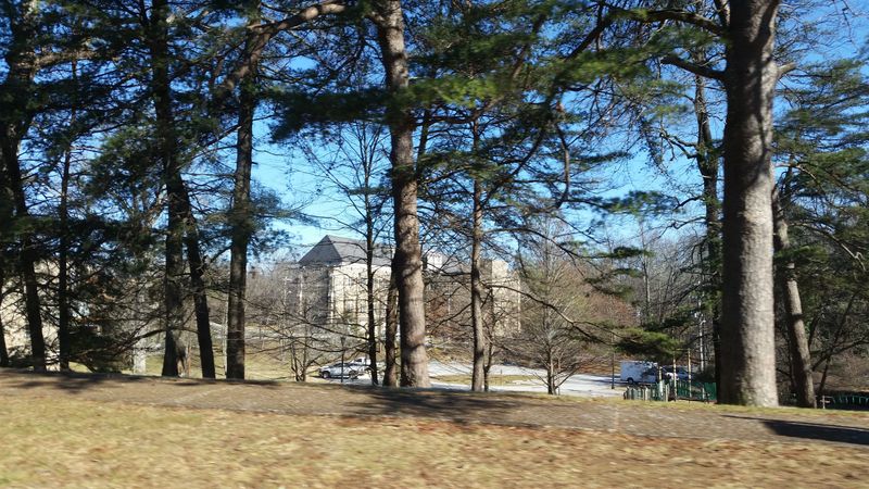 Abbo’s Alley And The Town’s Green Thread