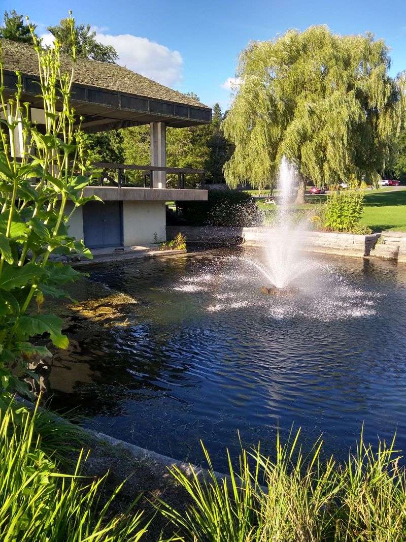 Neighbors Who Notice And Pitch In